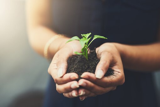 Nachhaltigkeit in der Hotellerie Austria Trend Hotels Cares is the new sustainability initiative. The picture shows a plant sapling