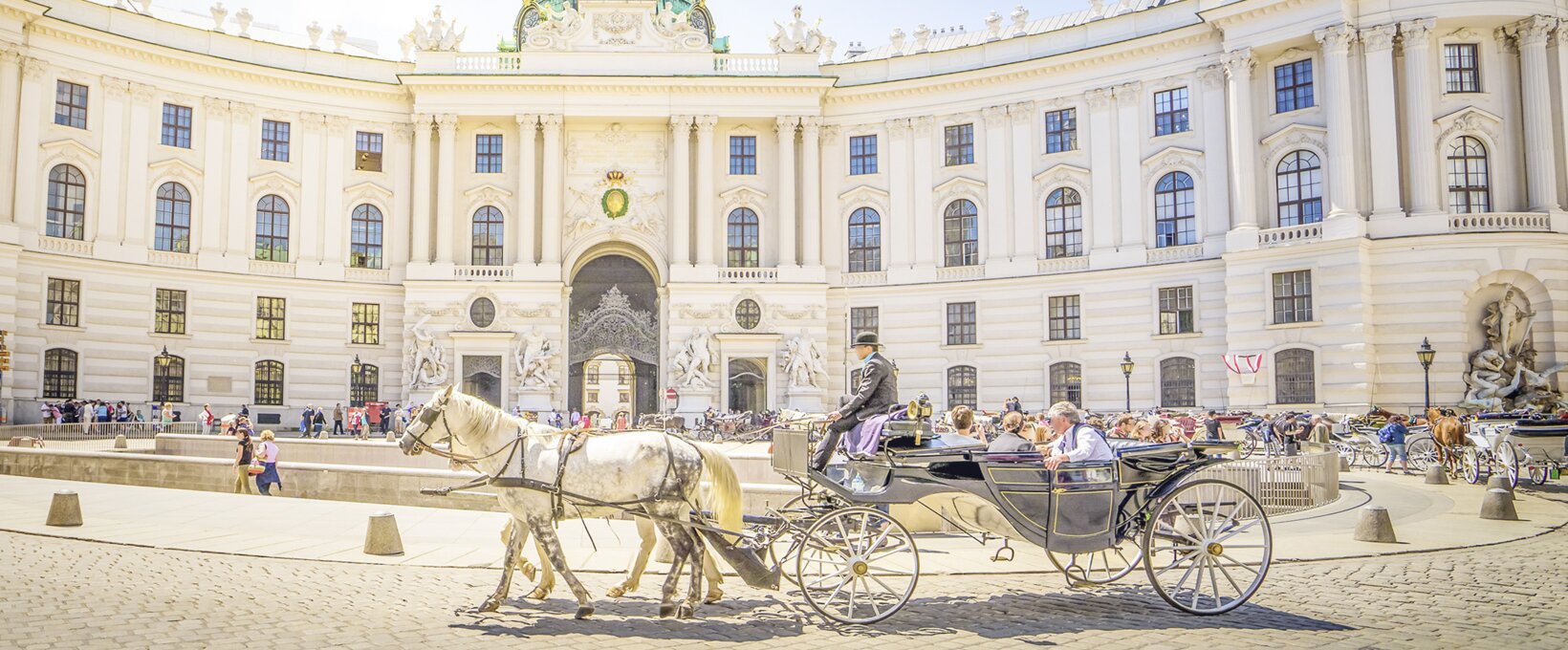 Hofburg mit Kutsche | Wien